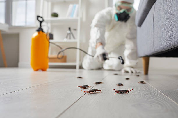 Commercial Kitchen Cockroach Control in Vancouver